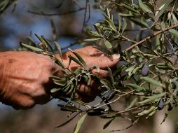 El cambio climático 
