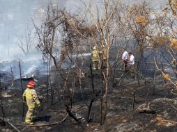 Al sitio acudieron bomberos del estado, Tlaquepaque, Zapopan y Guadalajara para combatir el siniestro. ESPECIAL.