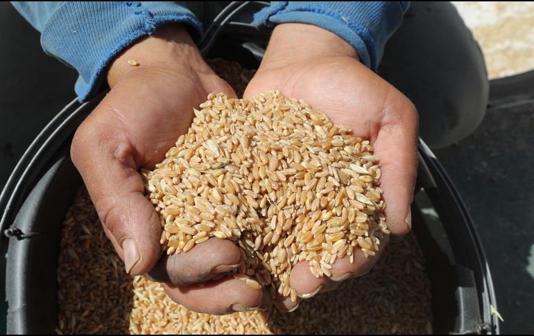 Los altos precios se deben a los 