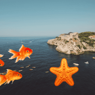 ¿Por qué se festeja el "Día Mundial de los Océanos" el 8 de junio?