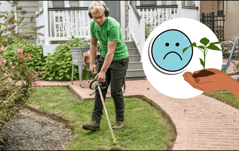 Este descubrimiento destaca la importancia de mantener una mente abierta y receptiva a nuevas ideas y hallazgos. UNSPLASH/Jared Muller