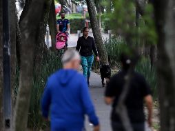 Hacer un poco de ejercicio rápido puede mejorar tu estado de ánimo y calmar tu mente. EL INFORMADOR / ARCHIVO