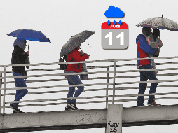 Los modelos de acumulados de precipitación del IAM pronostican el inicio climático del temporal entre el 10 y 12 de junio. EL INFORMADOR / ARCHIVO