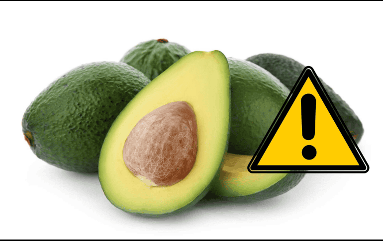 Consultar a un profesional de la salud puede proporcionar orientación adicional sobre la inclusión del aguacate en tu dieta de manera segura y saludable. CANVA