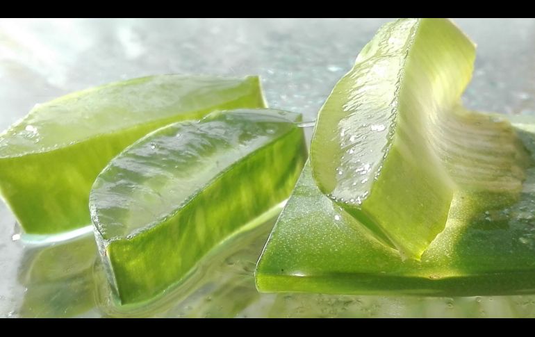 Algunos estudios sugieren que el Aloe vera puede tener un efecto positivo en la regulación de los niveles de azúcar en la sangre. Pixabay