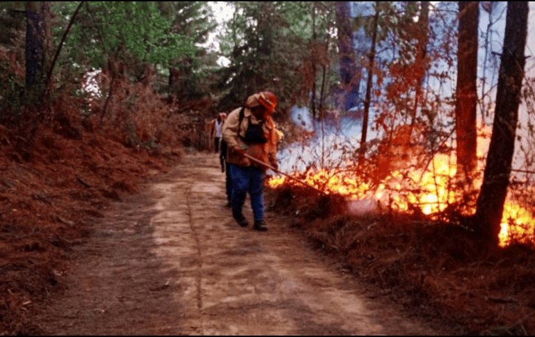 Bomberos permanecen realizando labores de enfriamiento y extinción. ESPECIAL