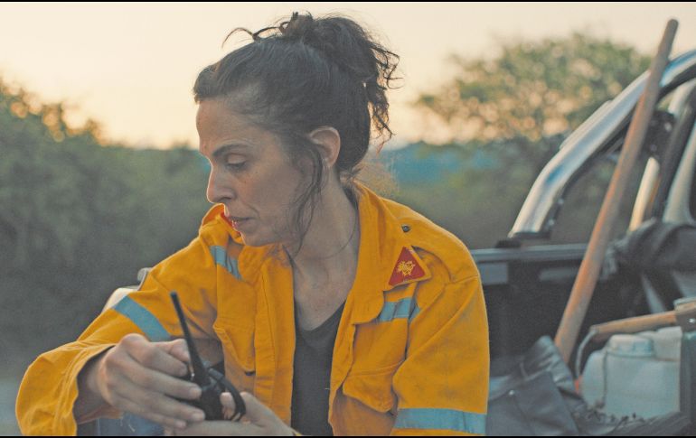 El filme presenta la lucha de una brigadista por salvar los bosques. CORTESÍA