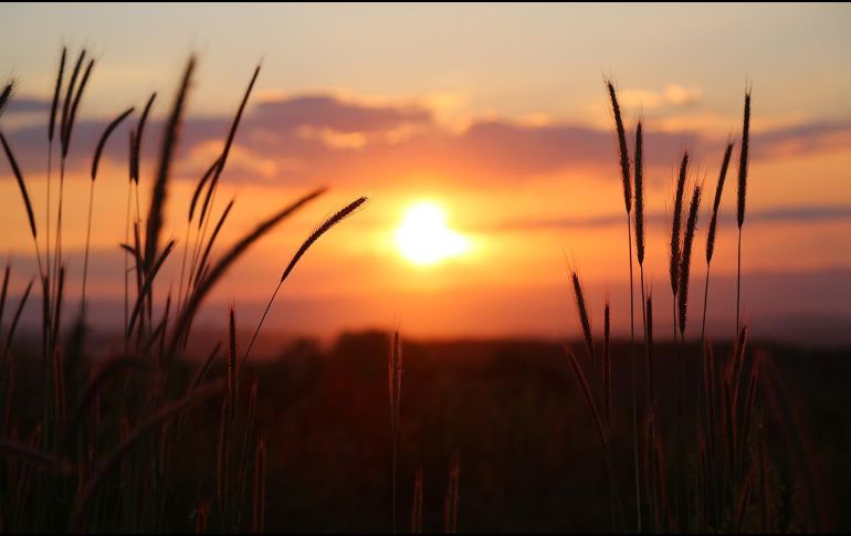 México ofrece varios lugares ideales para observar y celebrar el solsticio de verano. Pixabay