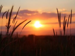 México ofrece varios lugares ideales para observar y celebrar el solsticio de verano. Pixabay