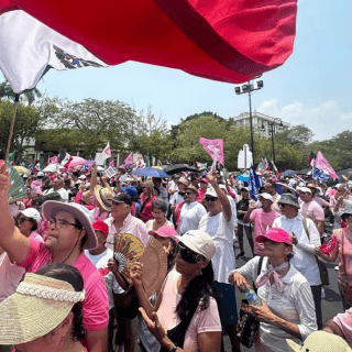 Esto dice la "Marea Rosa" sobre la opción de convertirse en partido político