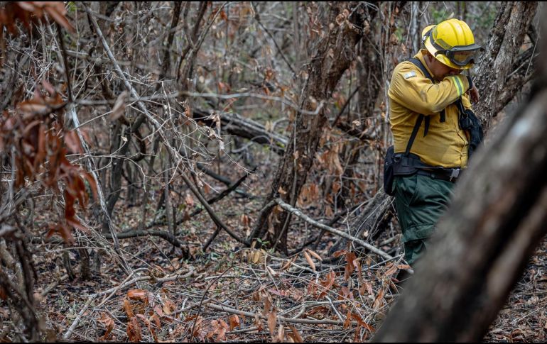 El 95% de los incendios han sido provocados por humanos. EFE/ D. TORO