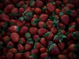 Entre los alimentos que aportan vitamina C se encuentran: papaya, brócoli, pimiento rojo, perejil, kiwi, arándanos, uva y las fresas. EL INFORMADOR / ARCHIVO