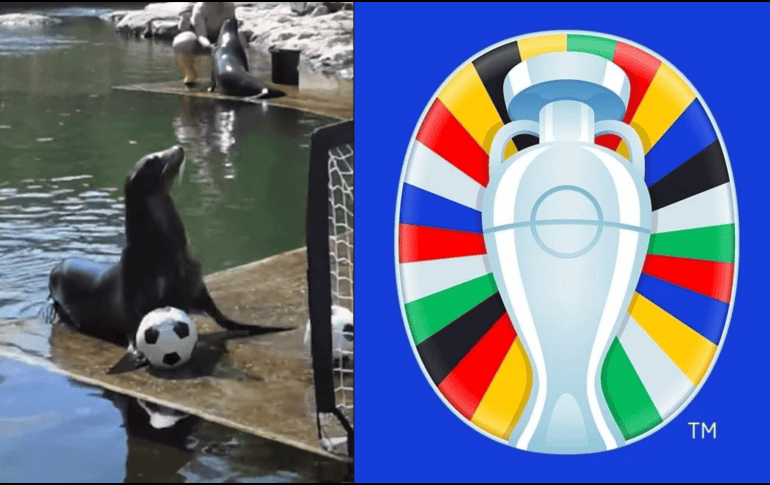 Desde su inauguración en 1960, la Eurocopa ha sido escenario de algunos de los momentos más memorables y emocionantes del fútbol, destacándose por su alto nivel de competencia y la calidad de los equipos participantes. EURO 2024 YOUTUBE/CNNENESPAÑOL