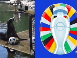 Desde su inauguración en 1960, la Eurocopa ha sido escenario de algunos de los momentos más memorables y emocionantes del fútbol, destacándose por su alto nivel de competencia y la calidad de los equipos participantes. EURO 2024 YOUTUBE/CNNENESPAÑOL