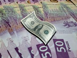 Hoy, la mejor opción en la compra del dólar -en este momento de la mañana- es en Citibanamex y la venta, en Banco Azteca. EL INFORMADOR / O. Álvarez