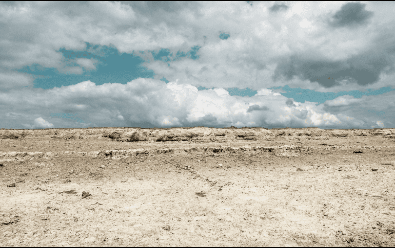 El jefe de Estado alemán recalcó que 