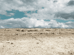 El jefe de Estado alemán recalcó que 