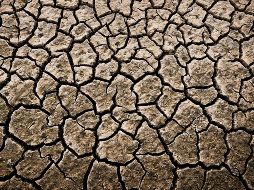 Los datos muestran que desde el 2015 África se está degradando más rápido del promedio mundial.  UNSPLASH / A. Mag