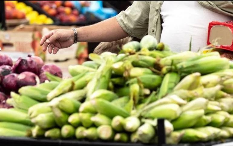 Aquí te traemos una excelente alternativa para adquirir fruta y verdura de temporada al mejor precio. EFE / Archivo