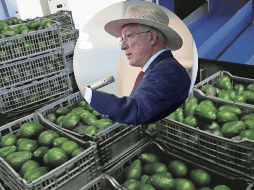 El embajador estadounidense en México anunció que viajará a Michoacán la próxima semana para reunirse con el gobernador Alfredo Ramírez Bedolla y la APEAM. SUN / ARCHIVO