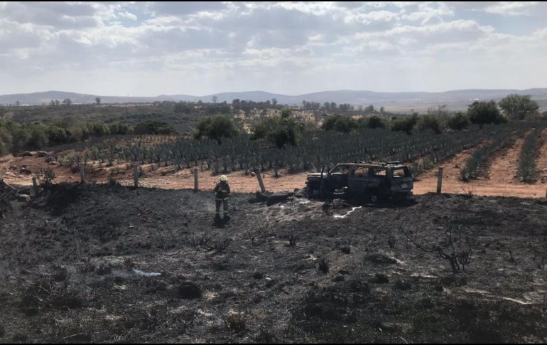 El percance se originó debido a la poca visibilidad causada por un incendio en un pastizal junto a la carretera. CORTESÍA