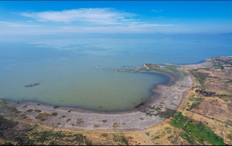 Entre las consecuencias de la crisis que vive el lago de Chapala por las sequías, están el incremento de espacios de tierra y lodo, la reducción de los niveles de agua y la reducción de las actividades turísticas y de pesca. EL INFORMADOR/A. Navarro