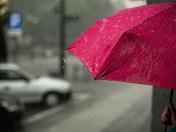 Te recomendamos tomar las precauciones necesarias, en especial si tu vivienda se encuentra posicionada cerca de un cuerpo de agua. Unsplash