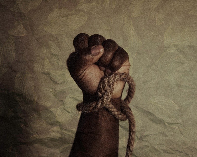 &nbsp;ESPECIAL/Foto de Tasha Jolley en Unsplash