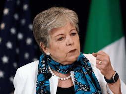 Gustavo Alanís, director general del Centro Mexicano de Derecho Ambiental (Cemda), se dice convencido de que Alicia Bárcena hará un buen papel al frente de la Semarnat. EFE / ARCHIVO