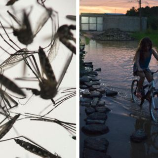 Esta enfermedad también llega con la temporada de huracanes