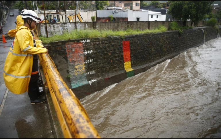 Las autoridades advirtieron que se mantiene la probabilidad muy alta, entre el 80 y 100% de caídas de árboles. EFE / ARCHIVO