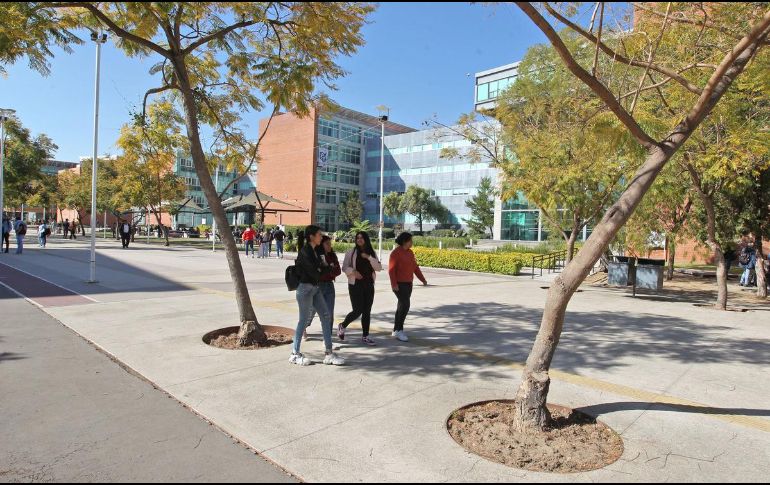 Alumnas de la UdeG caminan por andador del Centro Universitario de Ciencias Sociales y Humanidades (CUCSH) sede Belenes. EL INFORMADOR / ARCHIVO
