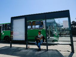 Serán cinco rutas del transporte público que modificarán su recorrido. EL INFORMADOR / ARCHIVO