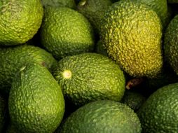 Ramírez Bedolla, adelantó la posibilidad de que el Departamento de Agricultura de Estados Unidos (USDA) y el Servicio de Inspección Sanitaria (APHIS) acrediten el proceso de certificación estatal. Pixabay.