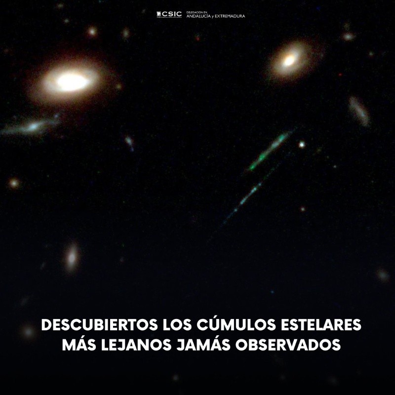 &nbsp;ESPECIAL/Foto de CSIC Andalucía y Extremadura en X