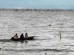 Chapala es el lago más grande de México, y una de las principales fuentes de agua para Guadalajara. EL INFORMADOR/ ARCHIVO