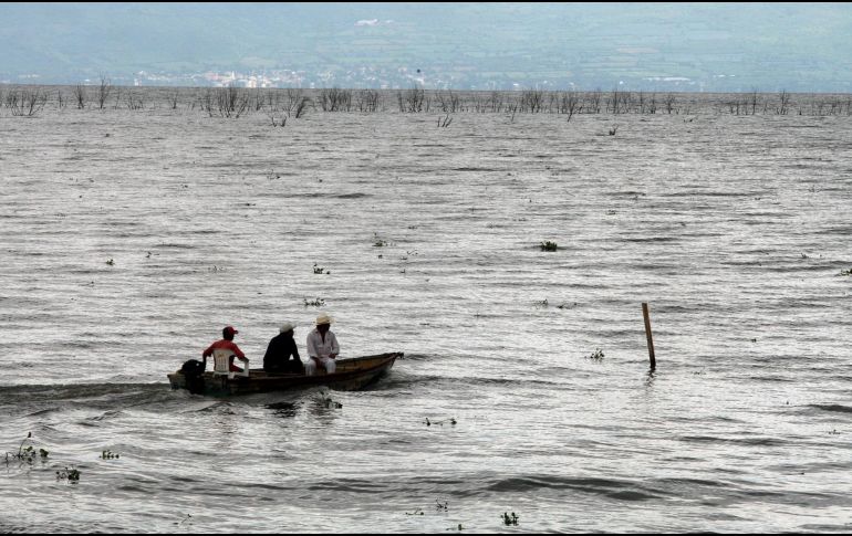 Chapala es el lago más grande de México, y una de las principales fuentes de agua para Guadalajara. EL INFORMADOR/ ARCHIVO