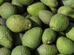 La Policía Auxiliar cuenta con mil 700 efectivos capacitados y acreditados para realizar funciones de seguridad. Pixabay