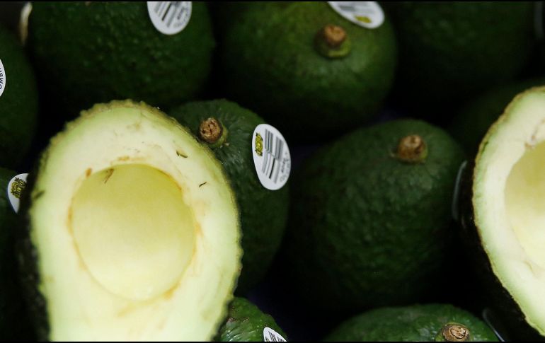 Los integrantes de APEAM expresaron su interés en coordinar con el estado la ruta del operativo de la Policía Auxiliar, con el objetivo de garantizar la exportación segura de los empaques de aguacate de Michoacán. EFE / ARCHIVO