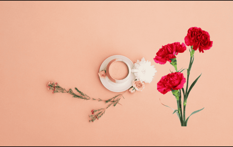 El clavel es una planta muy conocida y a la vez con grandes propiedades medicinales que se recomienda para calmar los ataques de nervios o de ansiedad. UNSPLASH/ Liana Mikah/ ESPECIAL