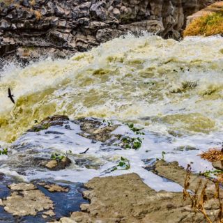 Gobierno estatal invierte en el Santiago; acusa el abandono de la Federación