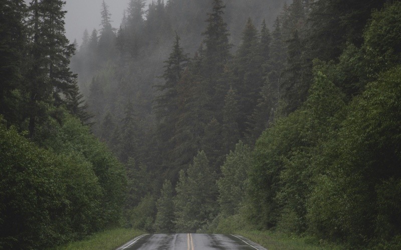 &nbsp;ESPECIAL/Foto de J.Thomas en Unsplash