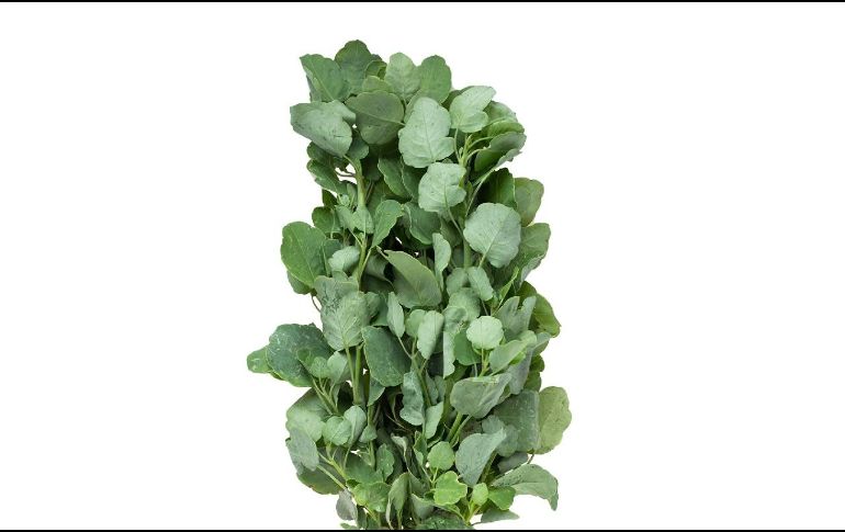 Esta hierba tiene grandes propiedades que podrías aprovechar por el bien de tu salud. ESPECIAL / Gobierno de México