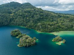 Selva Lacandona. GETTY IMAGES ISTOCK
