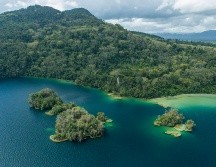 Selva Lacandona. GETTY IMAGES ISTOCK