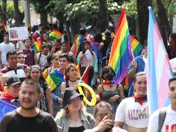 Este reconocimiento se realizará en el Registro Civil del estado cumpliendo todas las formalidades. EL INFORMADOR/ ARCHIVO.