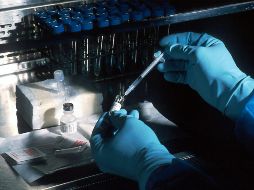 El nuevo medicamento mejora los síntomas de la enfermedad. UNSPLASH / NCI