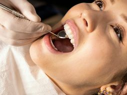 Nuestra salud se ve beneficiada con la inclusión del té verde entre nuestros alimentos porque es rico en vitaminas A y B; y de minerales como magnesio, calcio y potasio. ESPECIAL / Foto de Filip Rankovic Grobgaard en Unsplash