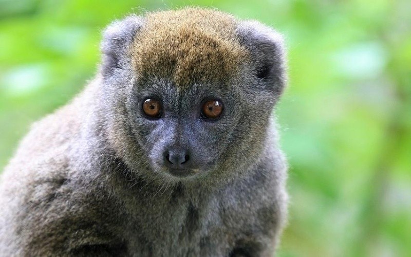 ESPECIAL/Foto de  Andreas Hoja en Pixabay