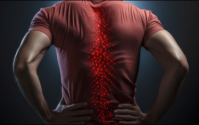 La vitaminas del complejo B como la tiamina (B1), la piridoxina (B6) y la cianocobalamina (B12), han sido asociadas a la mejora de distintos tipos de dolor. ESPECIAL/Foto de  Franz Bachinger en Pixabay